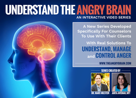 the angry brain - CLICK HERE